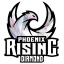 Phoenix Rising Diamond Logo