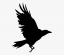 Nevermore Logo