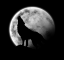 Yrana Avatar