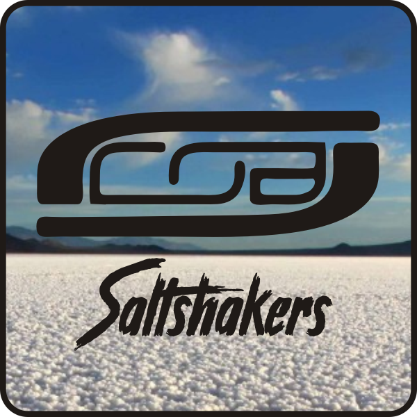 CoB Saltshakers