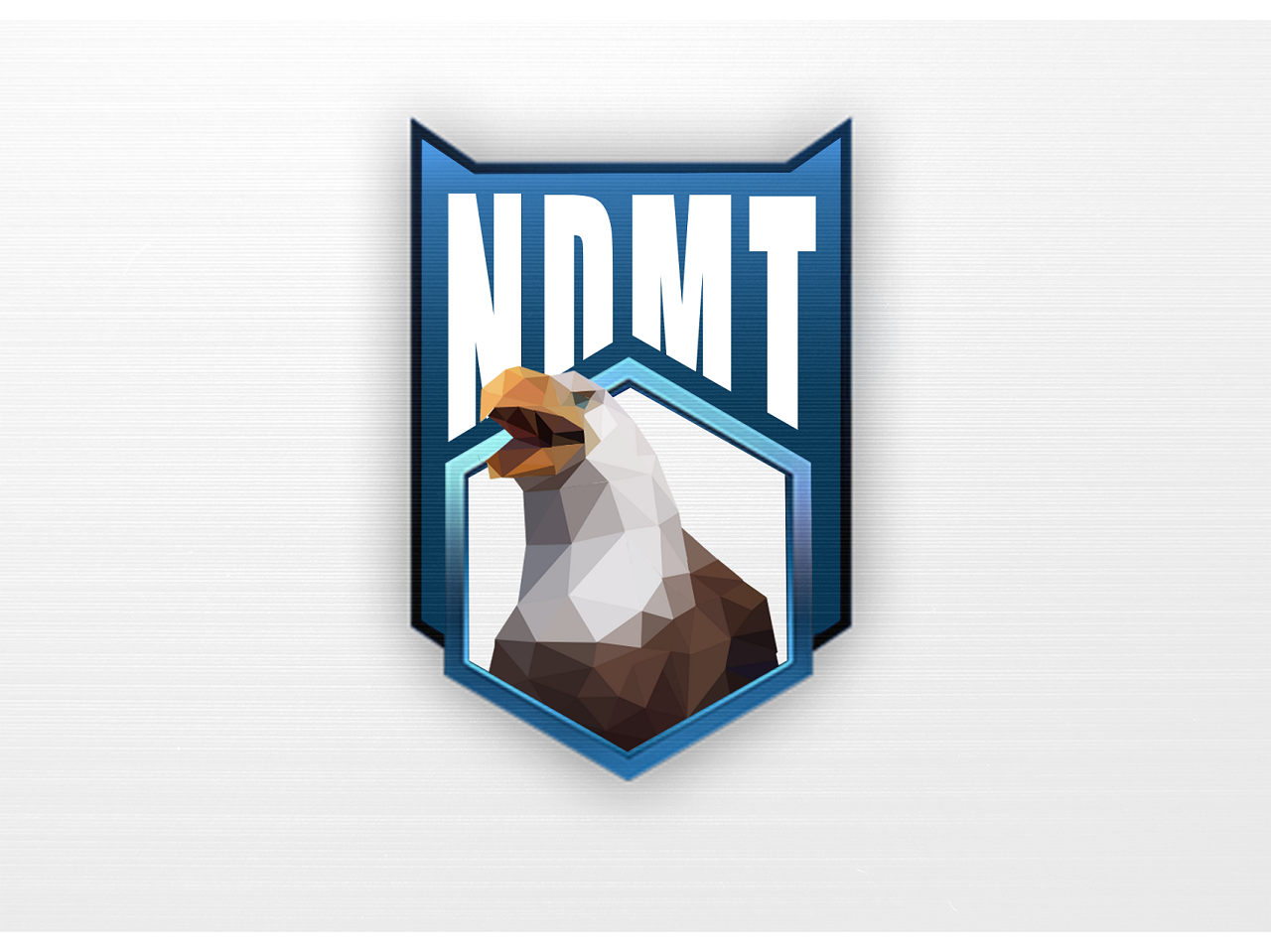 NDMT