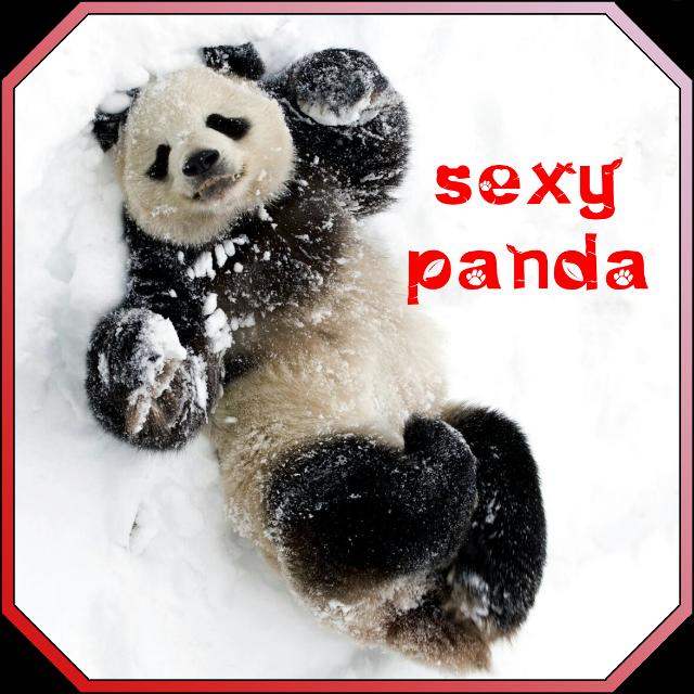 Sexy Panda