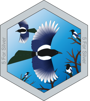 5 For Silver