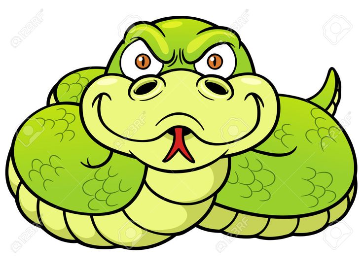 FAT Snake