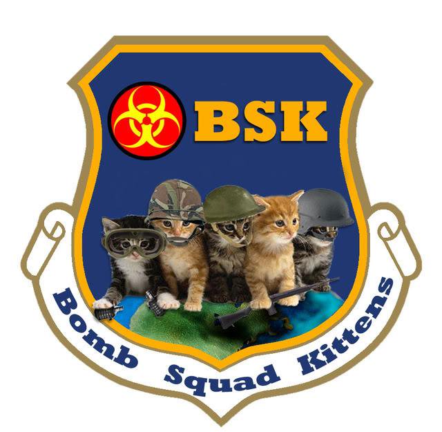 Bomb Squad Kittens