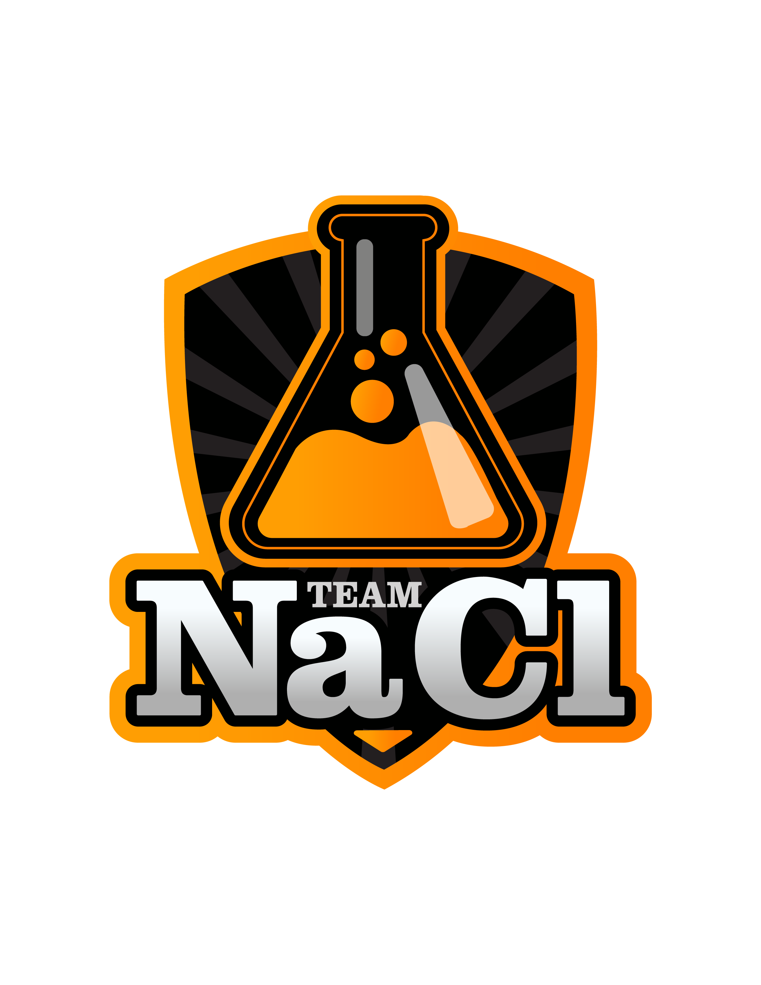 Team_NaCl