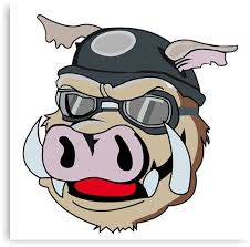Wild Hogs