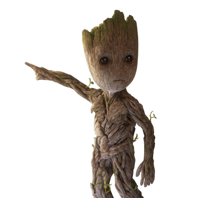 FAT Groot