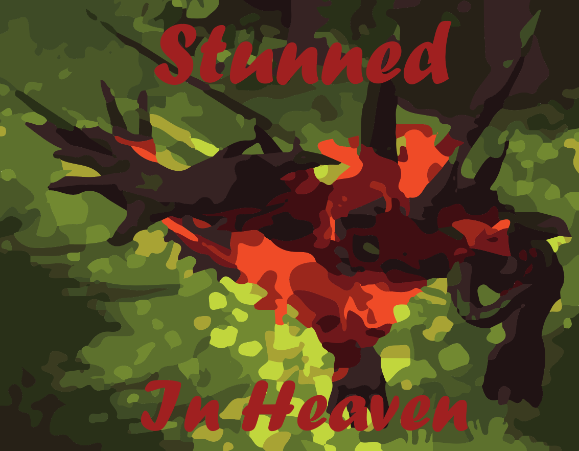 StunnedInHeaven