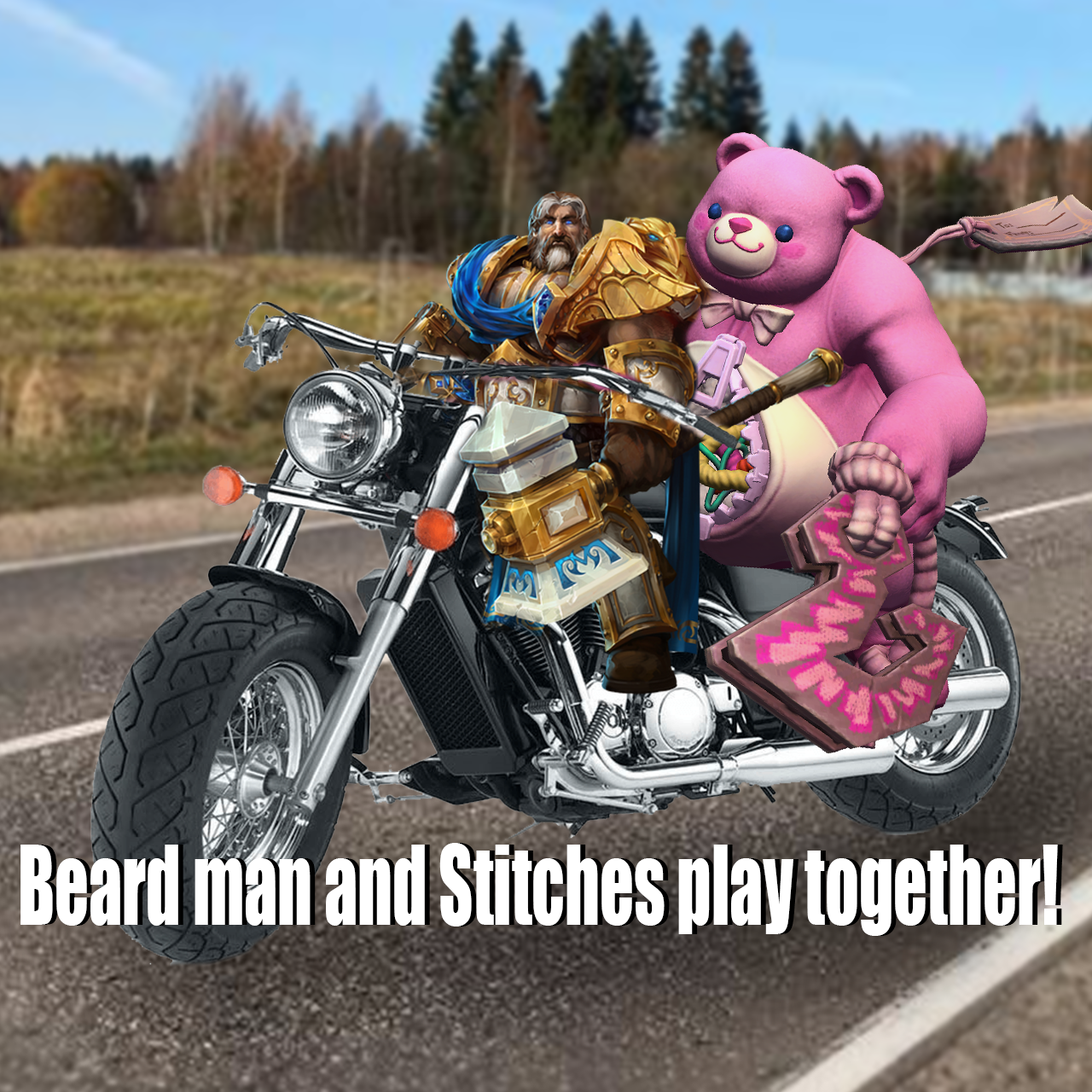 Stiches get snitches