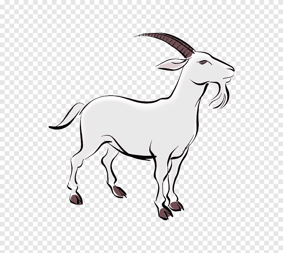 IGoatYourBack