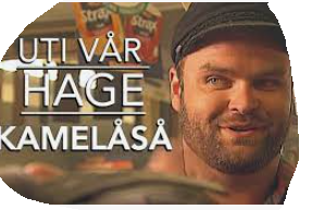 Kamelåså