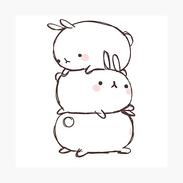 Lagomorpha