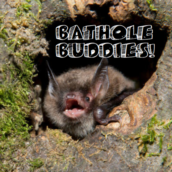 Bathole Buddies
