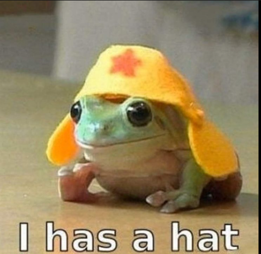 Froschhänds