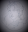 Team Selene Logo