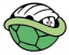 Turtle Team Logo