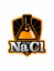 Team_NaCl Logo