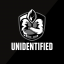Unidentified Elites Logo