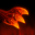 Fire And Fury